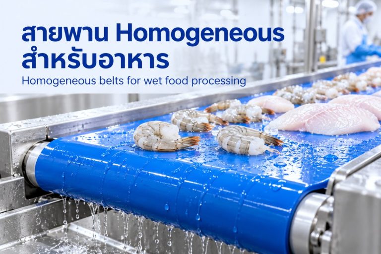 สายพาน Volta Homogeneous เหมาะกับงานใด และต้องตรวจสอบอะไรก่อนเลือกใช้?