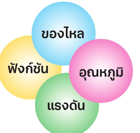 สี่ประเด็นสำคัญในการเลือกสายยาง: ของไหล อุณหภูมิ แรงดัน และฟังก์ชัน